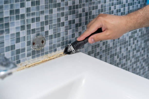 Best Same-Day Mold Removal  in Ranlo, NC