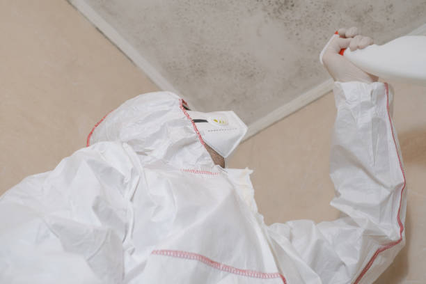 Best Toxic Mold Removal  in Ranlo, NC