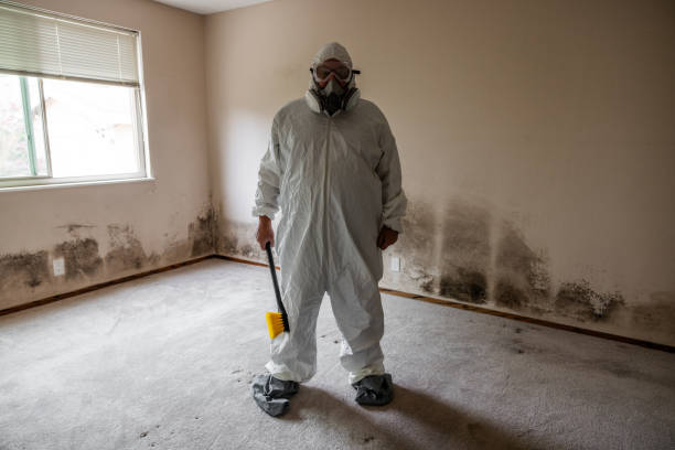 Best Residential Mold Removal  in Ranlo, NC